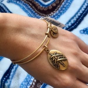 Alex and Ani bangle ❤️